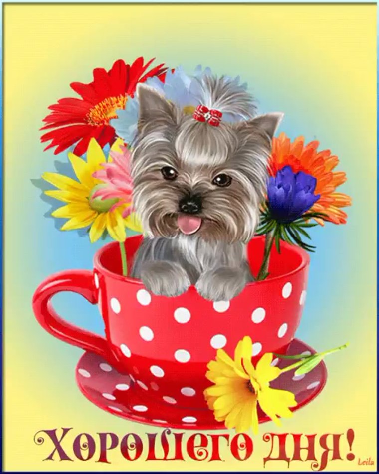 Открытки хорошего дня