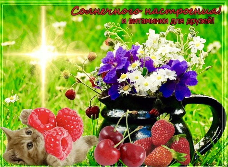 Прекрасного летнего дня