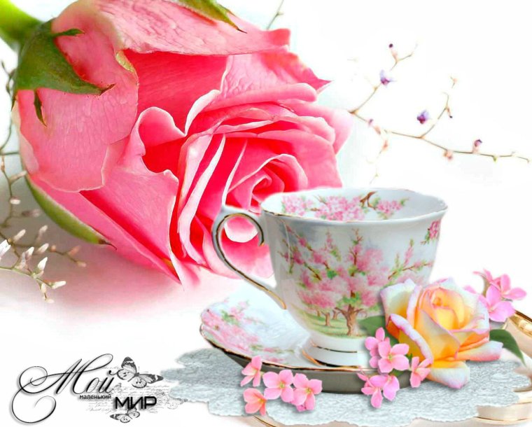 Прекрасного утра