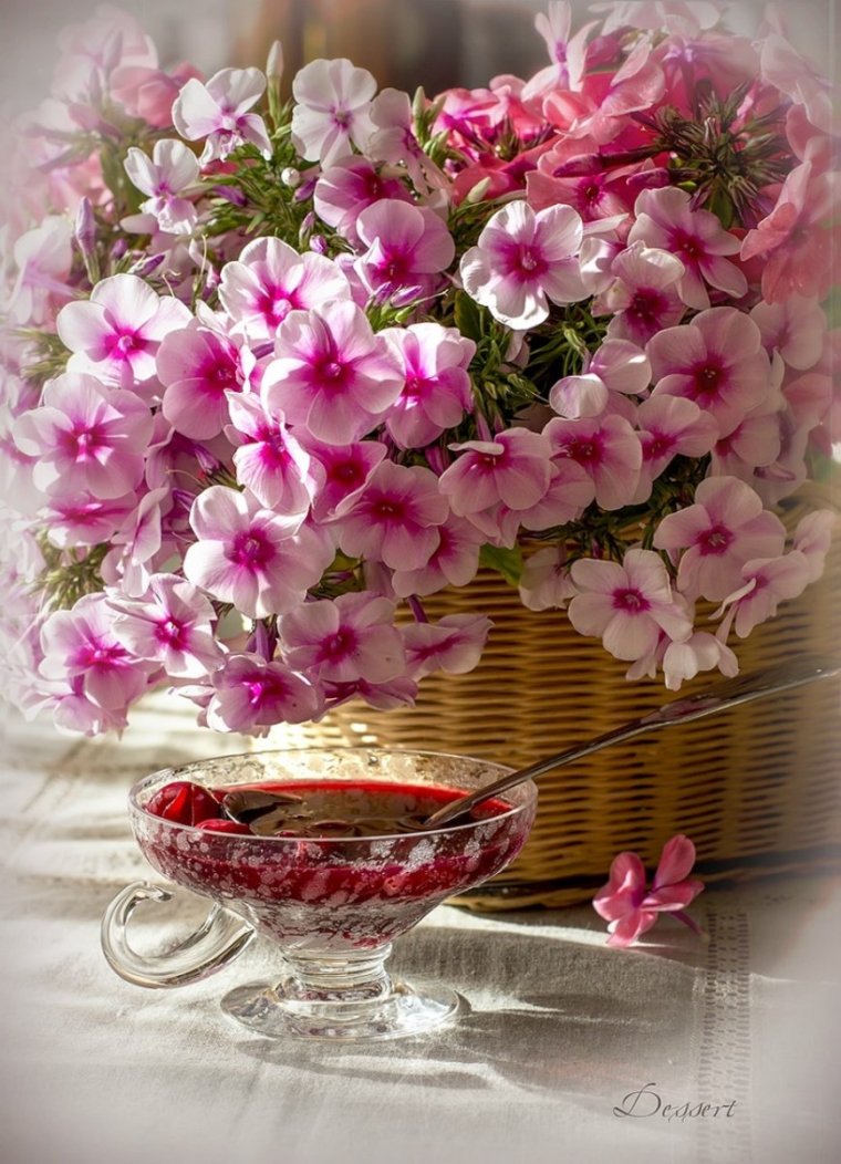 Замечательного утра и прекрасного настроения