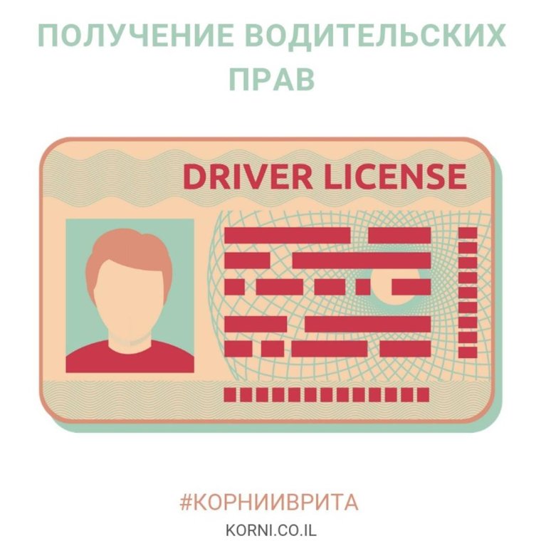 Водительские права поздравление