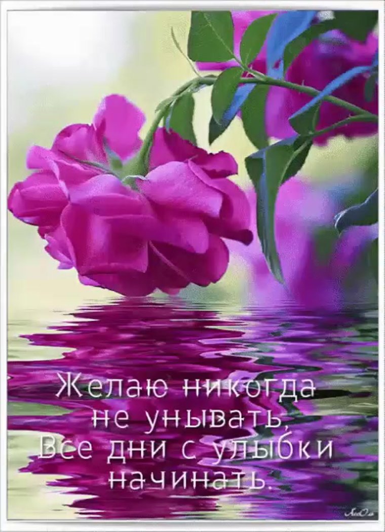 Пожелания радости жизни