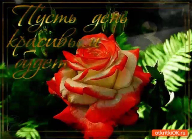 Анимационные открытки добрый день