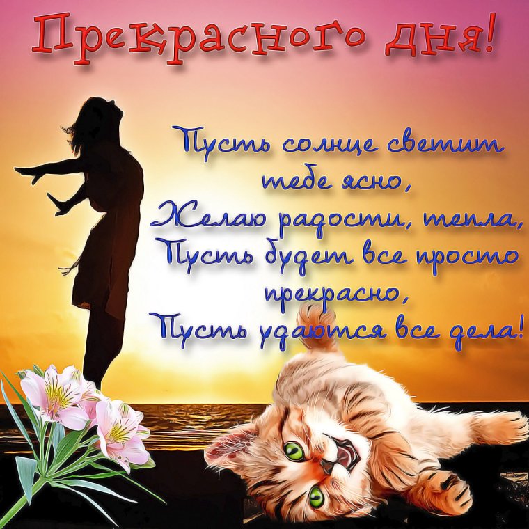 Открытки с пожеланиями хорошего дня