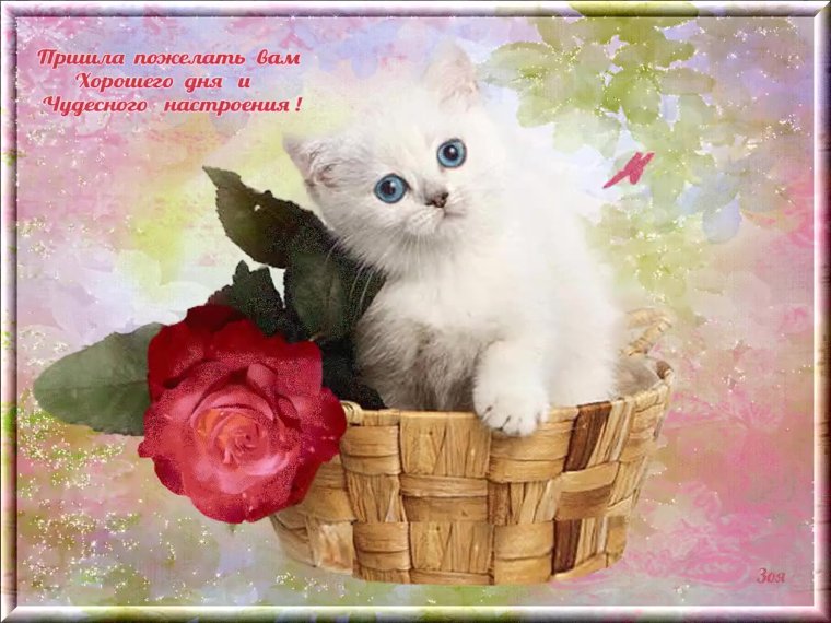 Добрые пожелания