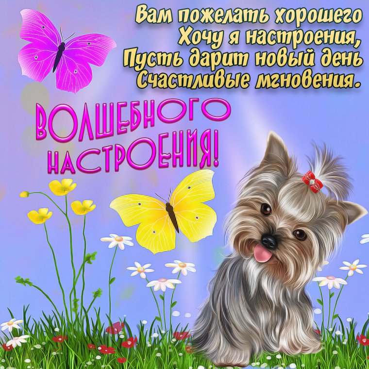 Пожелания хорошего дня и отличного настроения