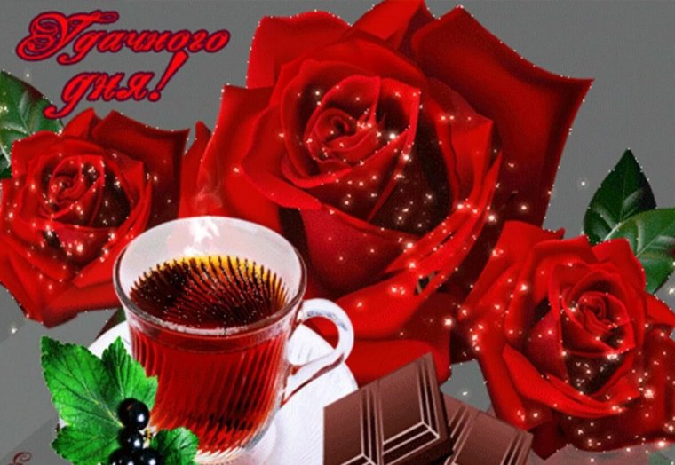 Живые открытки хорошего дня