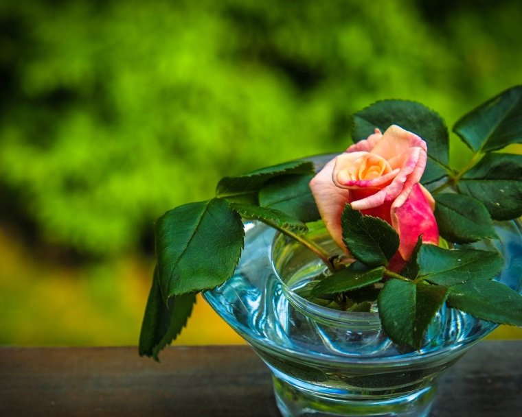 Желаю тебе прекрасного настроения