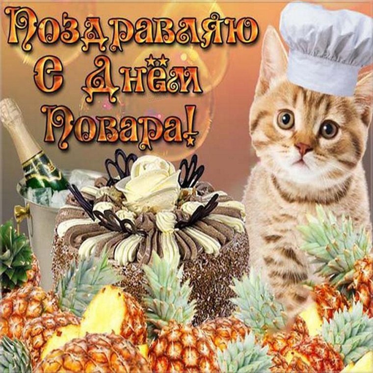 День повара Телеканал звезда