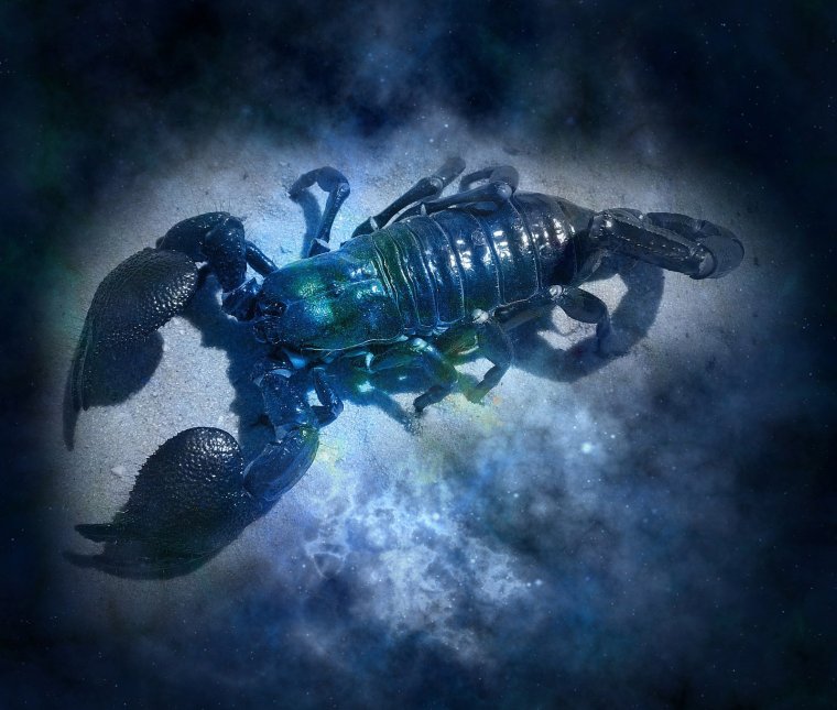 С днем рождения Скорпион