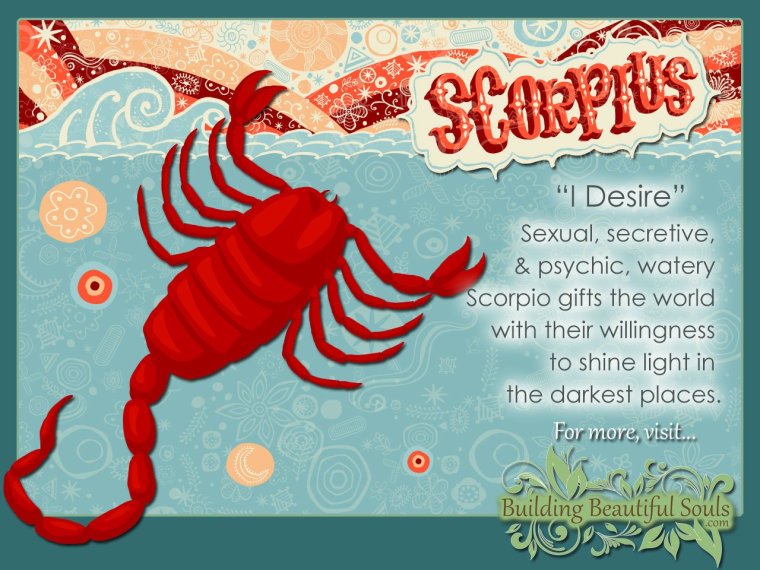 Знак зодиака Скорпион мальчик