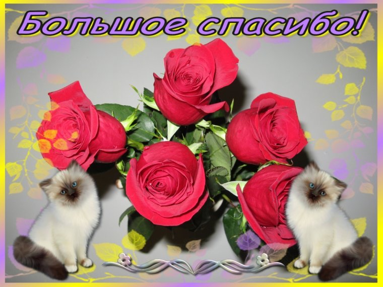 Открытки спасибо большое