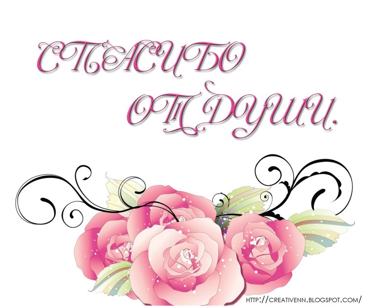 Нежные цветы с благодарностью