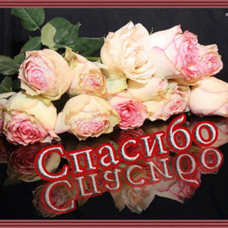 Открытки спасибо большое