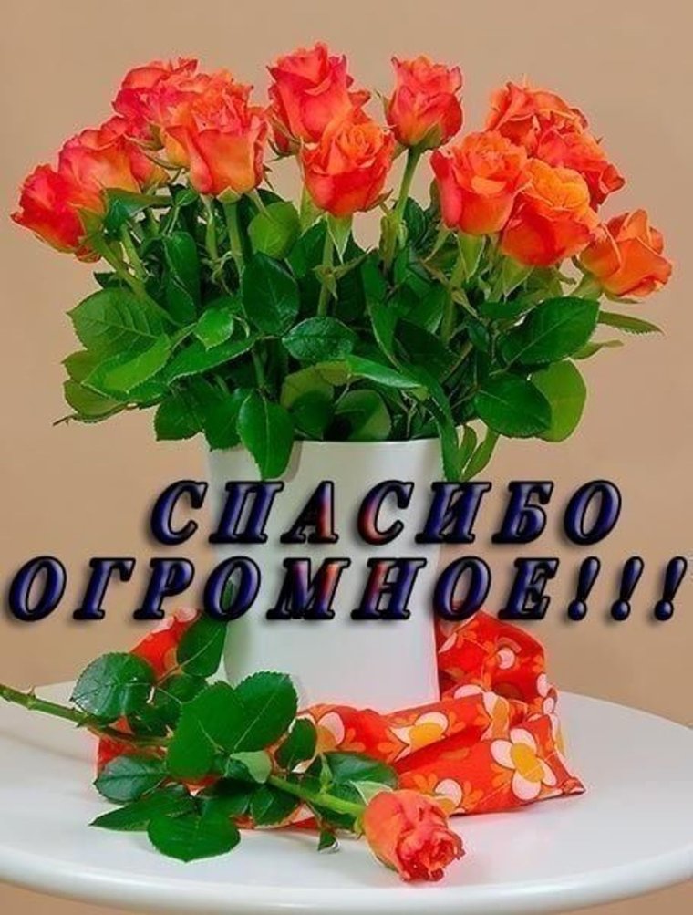 Открытки с благодарностью