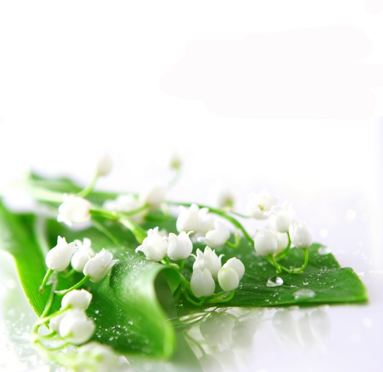 Ландыши фон для открытки