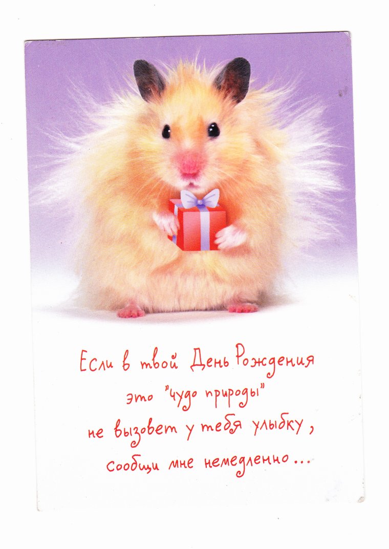 Поздравления с днём рождения Ренату прикольные