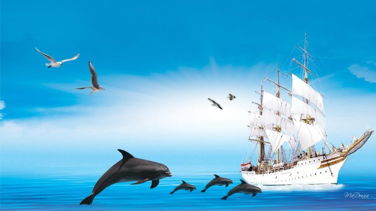 Поздравления с днём рождения Денису