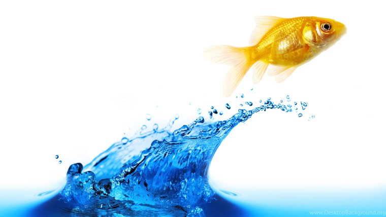 Поздравления с днём рождения изотерические