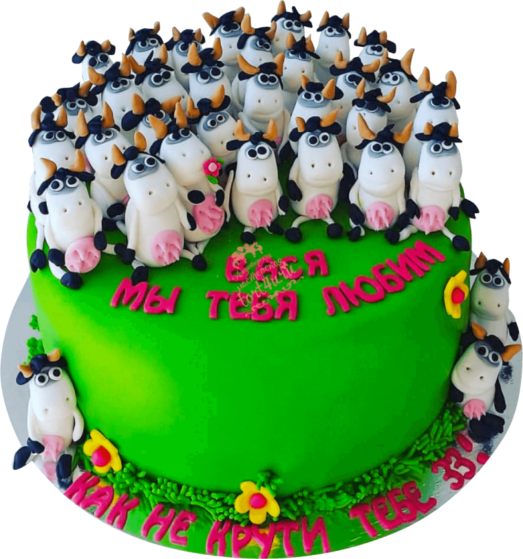 Торт паспорт врет