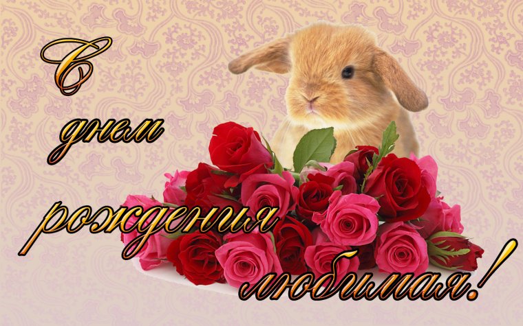 С днём рождения снохе