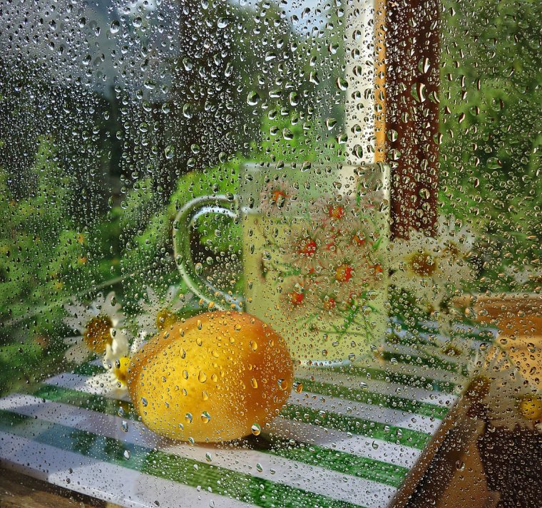 Доброе дождливое летнее утро