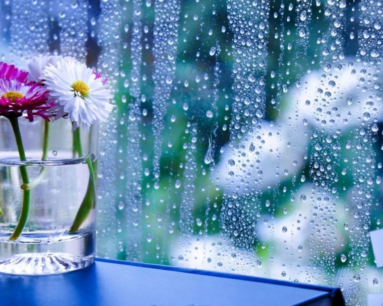 Весенний дождь за окном
