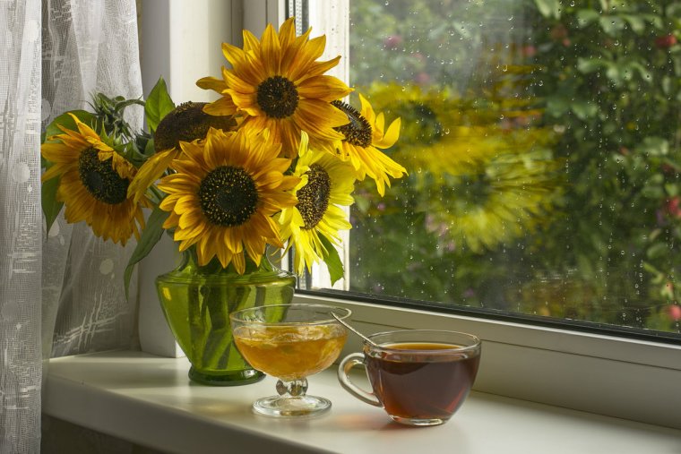 Доброе сентябрьское утро