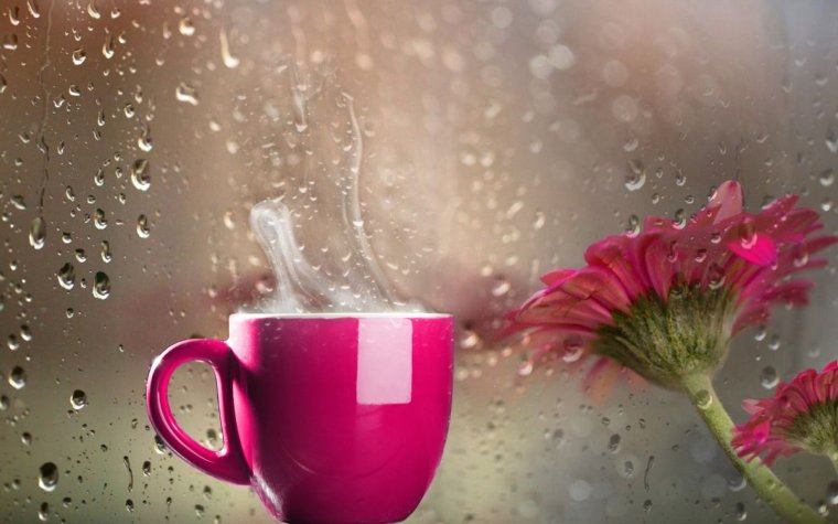 Дождь кофе цветы