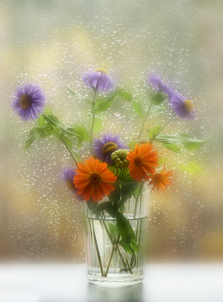 Доброе дождливое утро