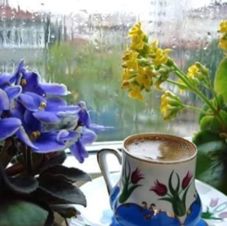 Доброе Майское дождливое утро