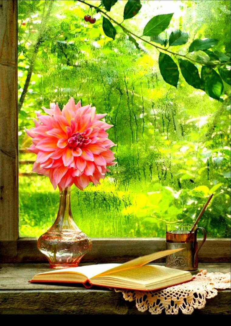 Осень дождь цветы