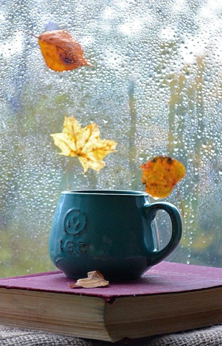 Чай у окна