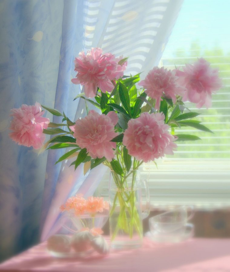 Цветы в вазе на окне