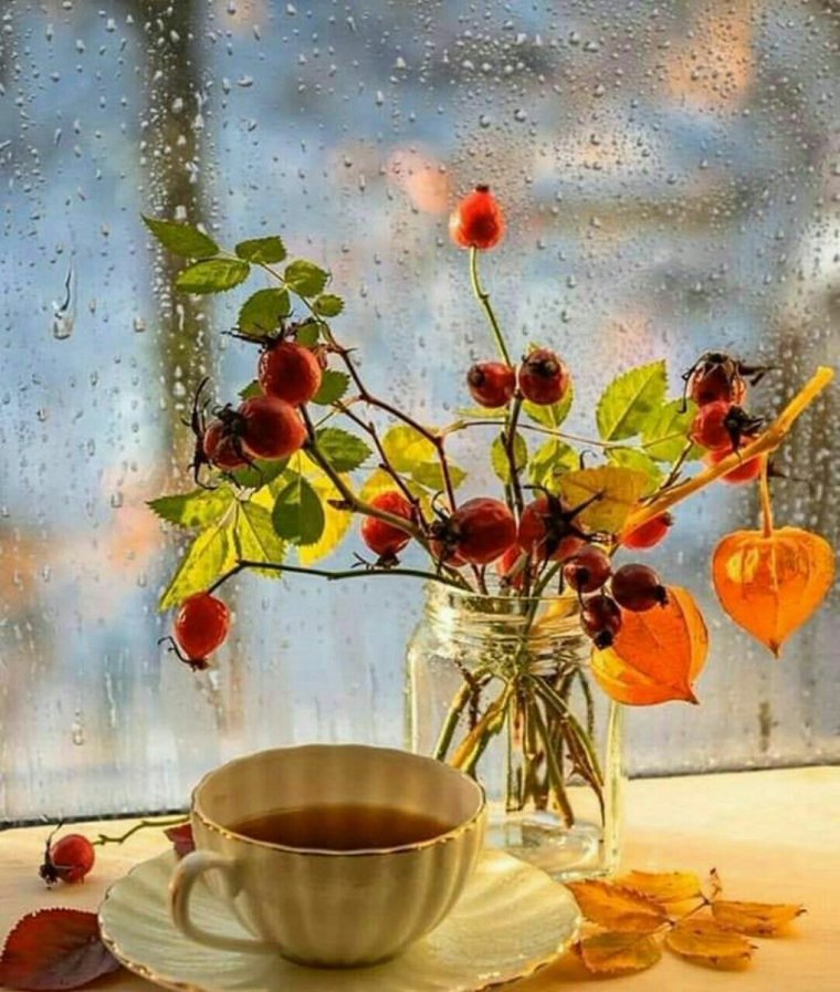 Дождливое утро осени