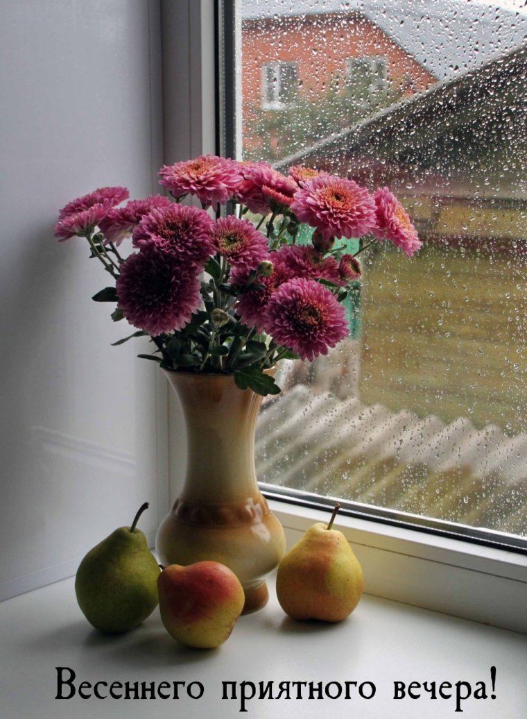 Осенние цветы на подоконнике