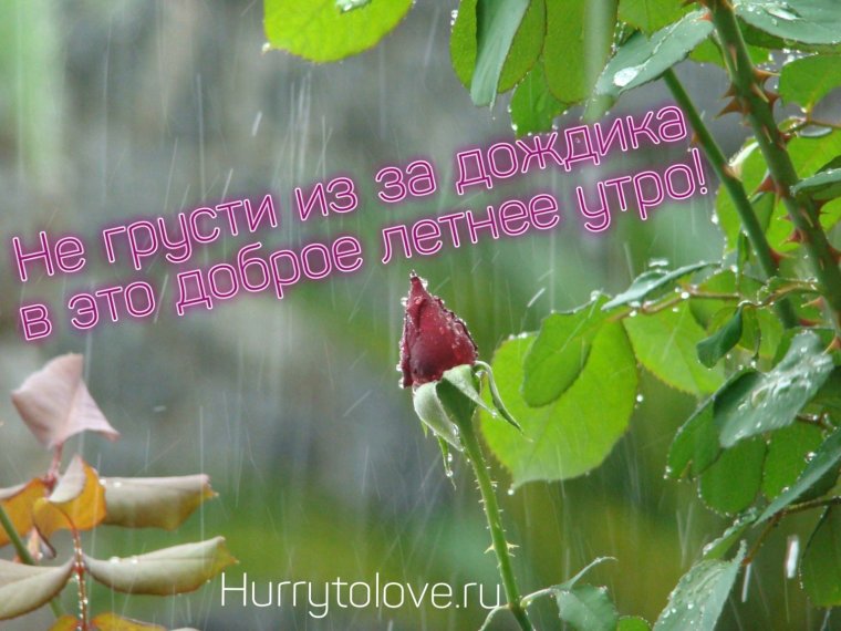 Дождь с добрым утром картинки с надписями