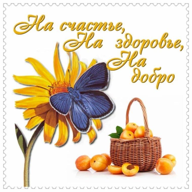 Выздоравливай картинки