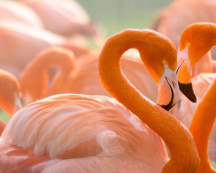 Доброе утро любимая