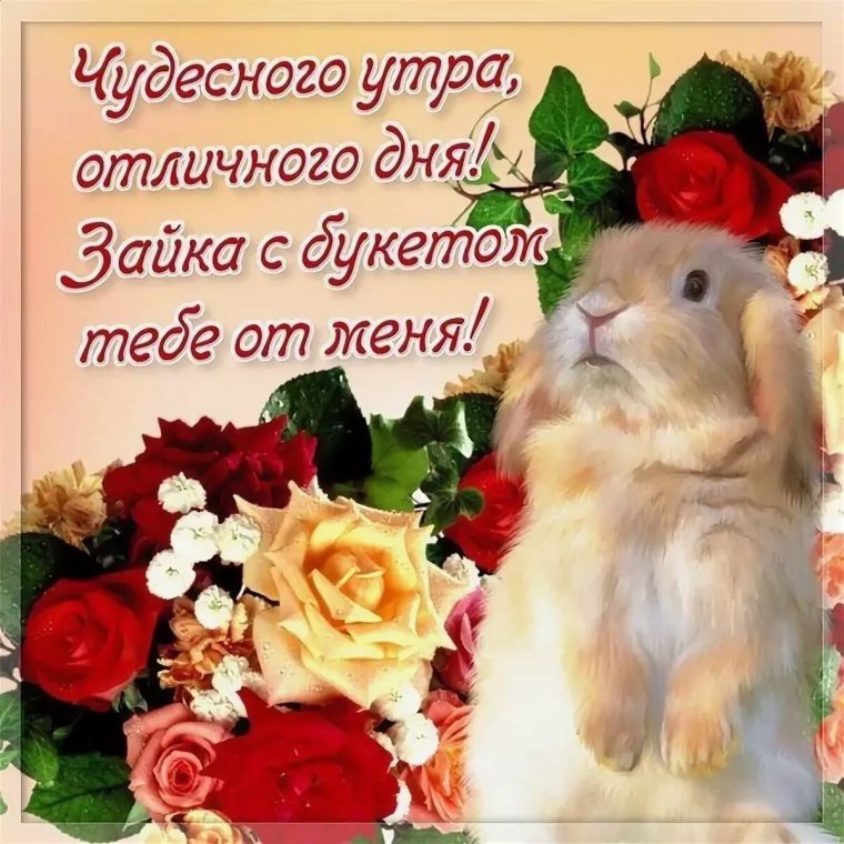 Поздравление с добрым утром женщине