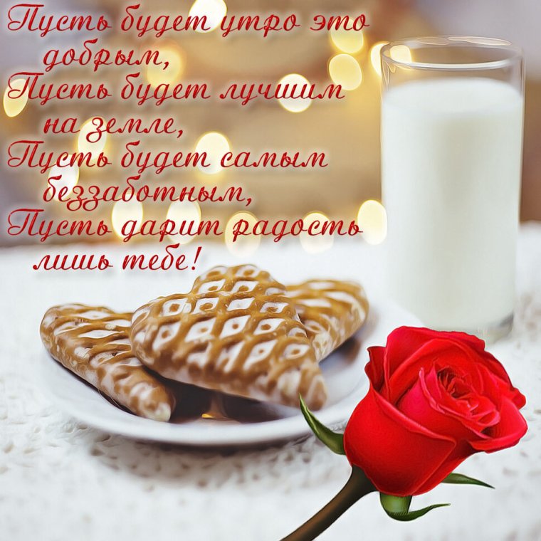 Доброе утро цветы