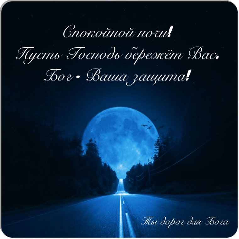 Красивая природа с лебедями