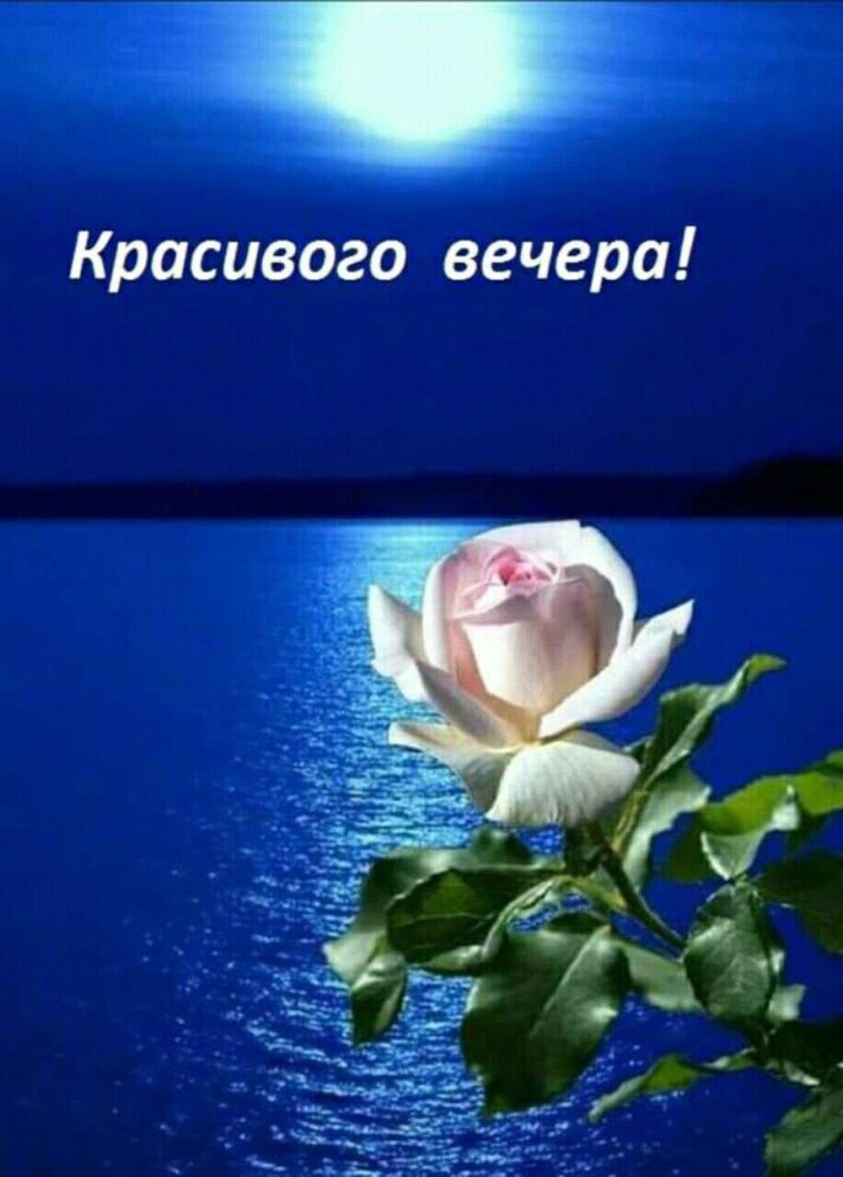 Красивые иконы