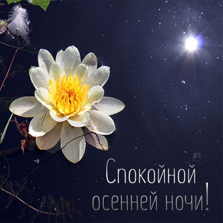 Чудесного вечера и спокойной ночи мерцающие