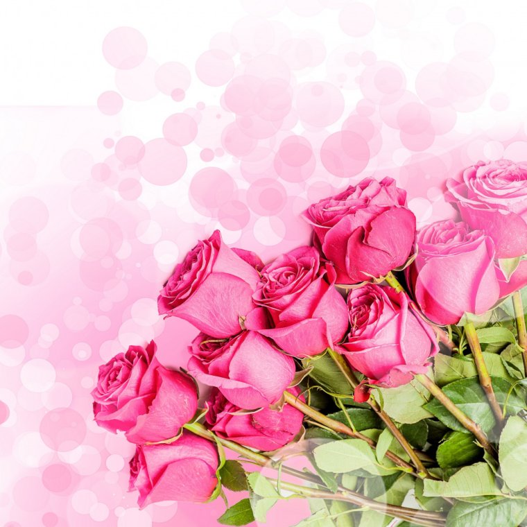 Фон для открытки