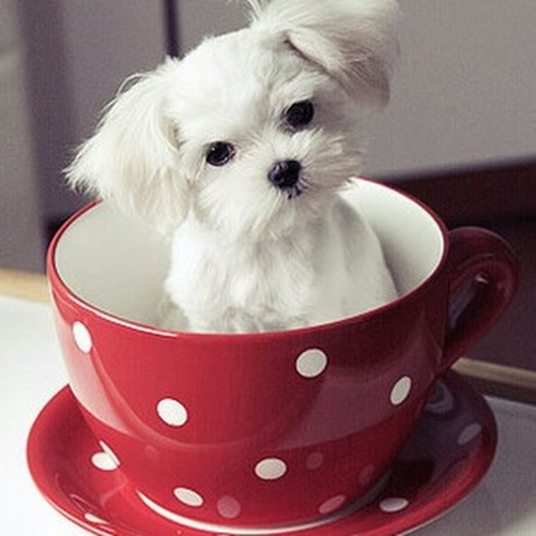 С добрым утром