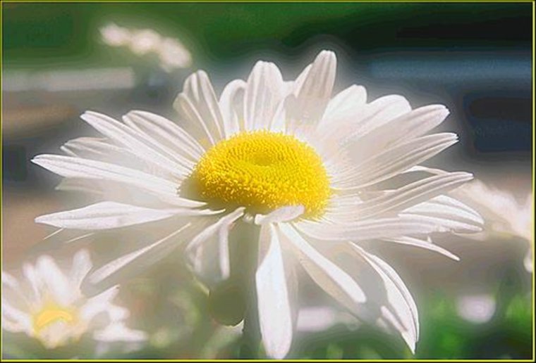 Доброе утро улыбнись