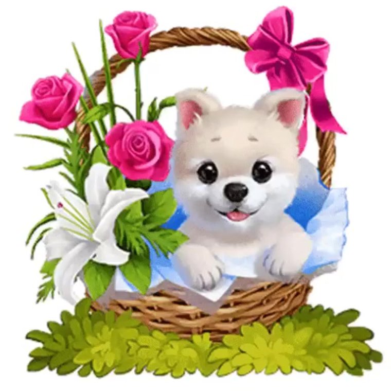 Доброе утро нарциссы