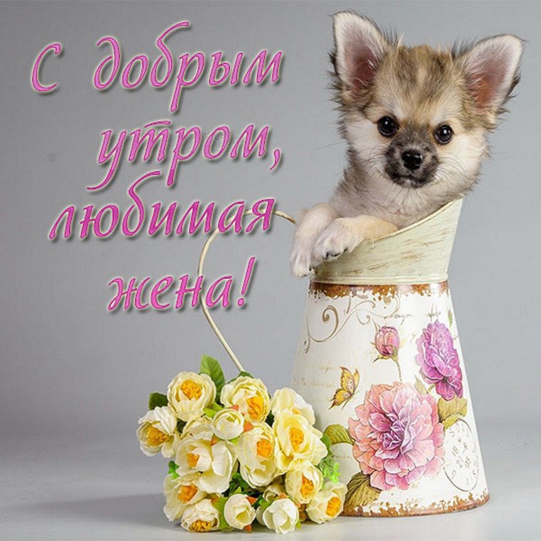 Доброго утра доченька взрослая