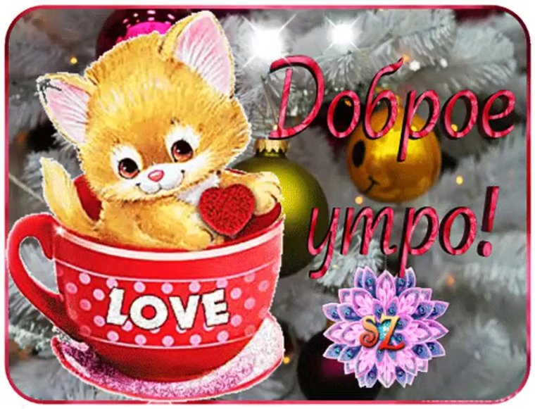 Бодрое утро девушка